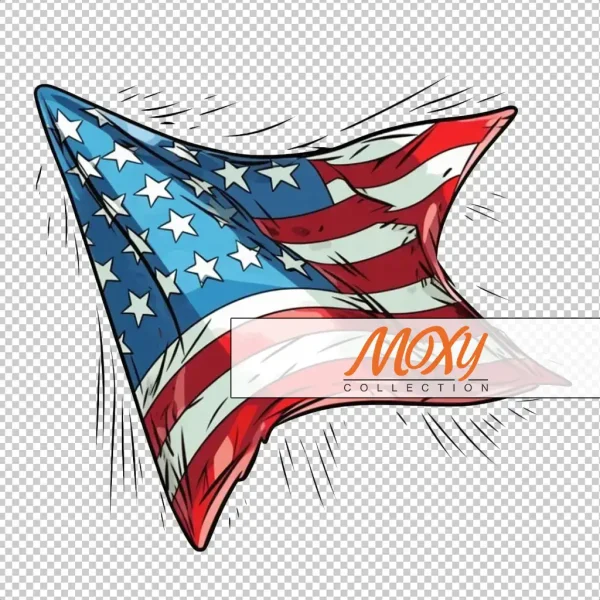 Stars and Stripes Forever: American Flag Design 01