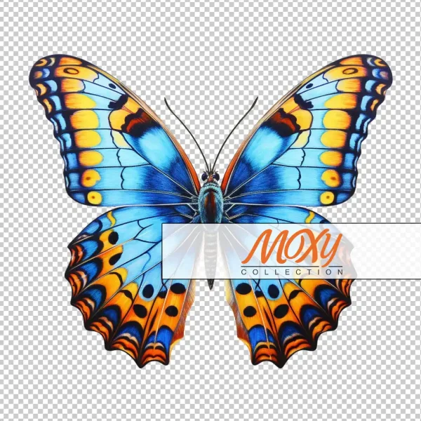 Fluttering Beauty: Butterfly Theme Design 03