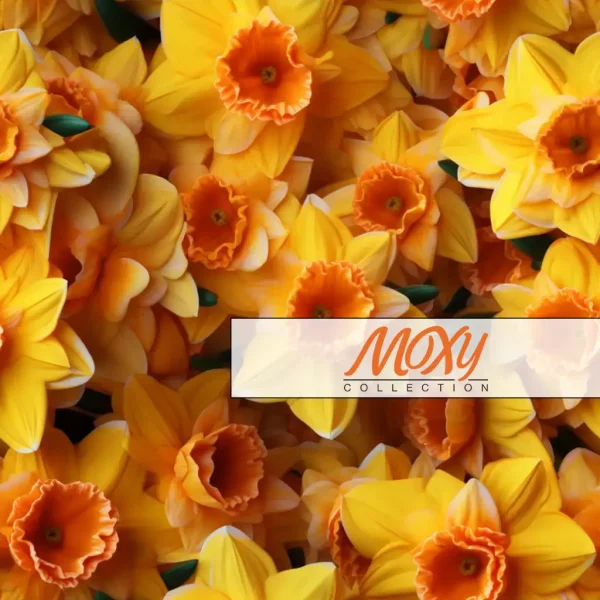 Springtime Symphony: Seamless Daffodil Blooms 10