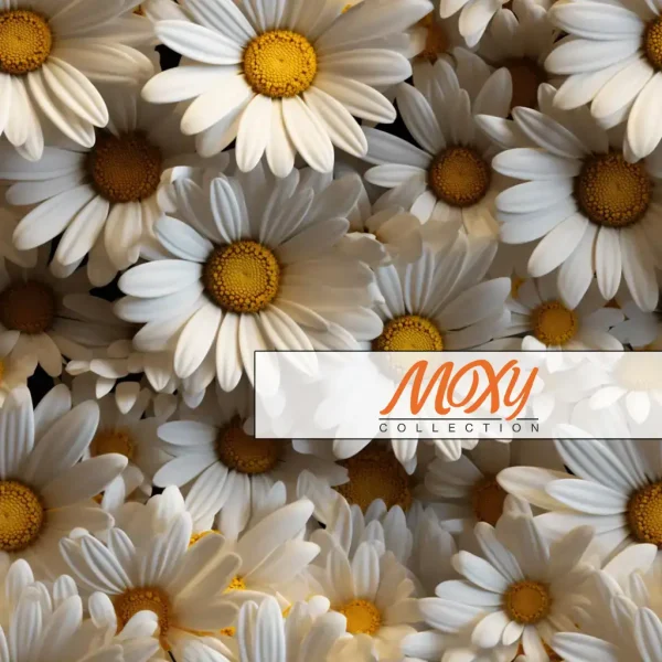 Daisy Delight: A Repeating Floral Design 16