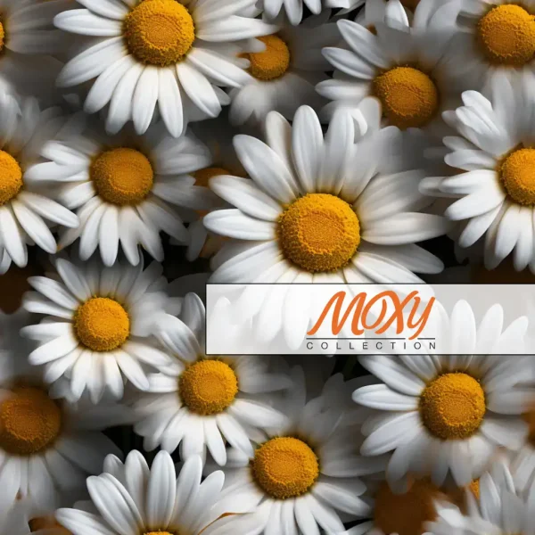 Daisy Delight: A Repeating Floral Design 09