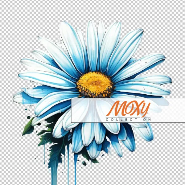 Nature's Smile: Charming Daisy Graphics 02