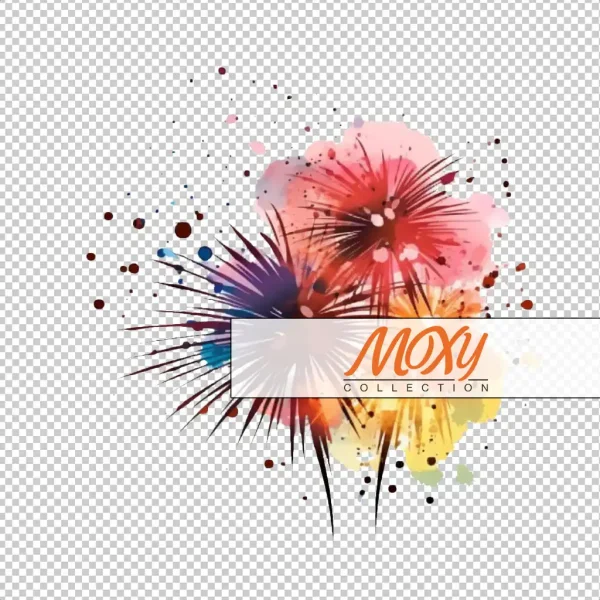 Firework Frenzy: 4th of July Design 12