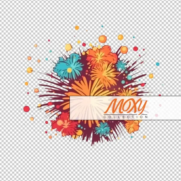 Firework Frenzy: 4th of July Design 16