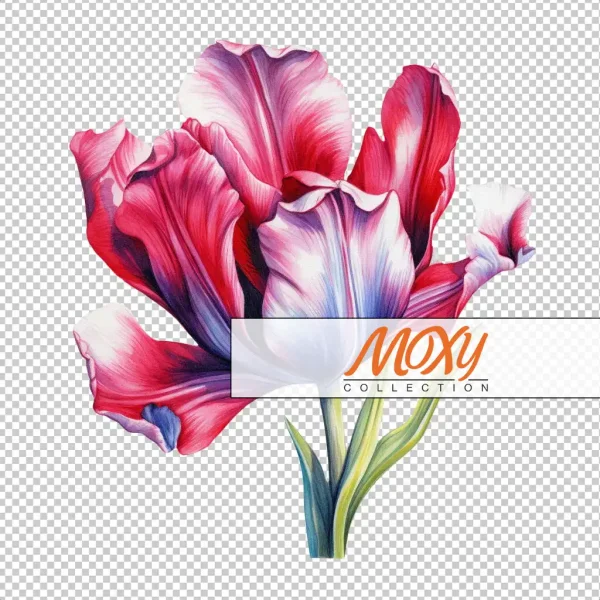 Springtime Serenade: Charming Tulip Design 02