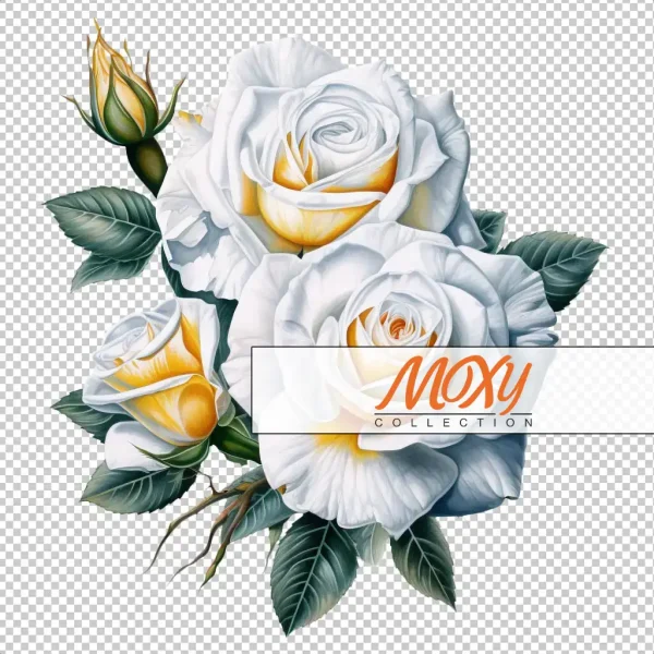 Pure Serenity: White Roses Digital Design 04