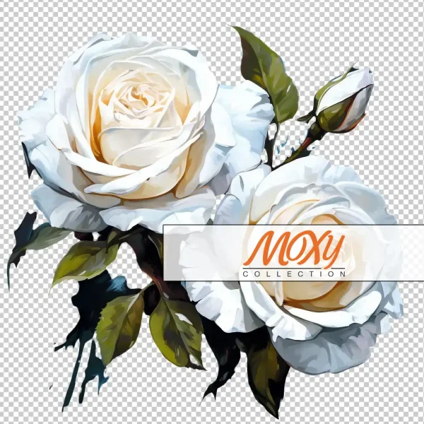 Pure Serenity: White Roses Digital Design 06